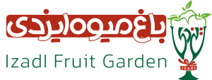 img_logo